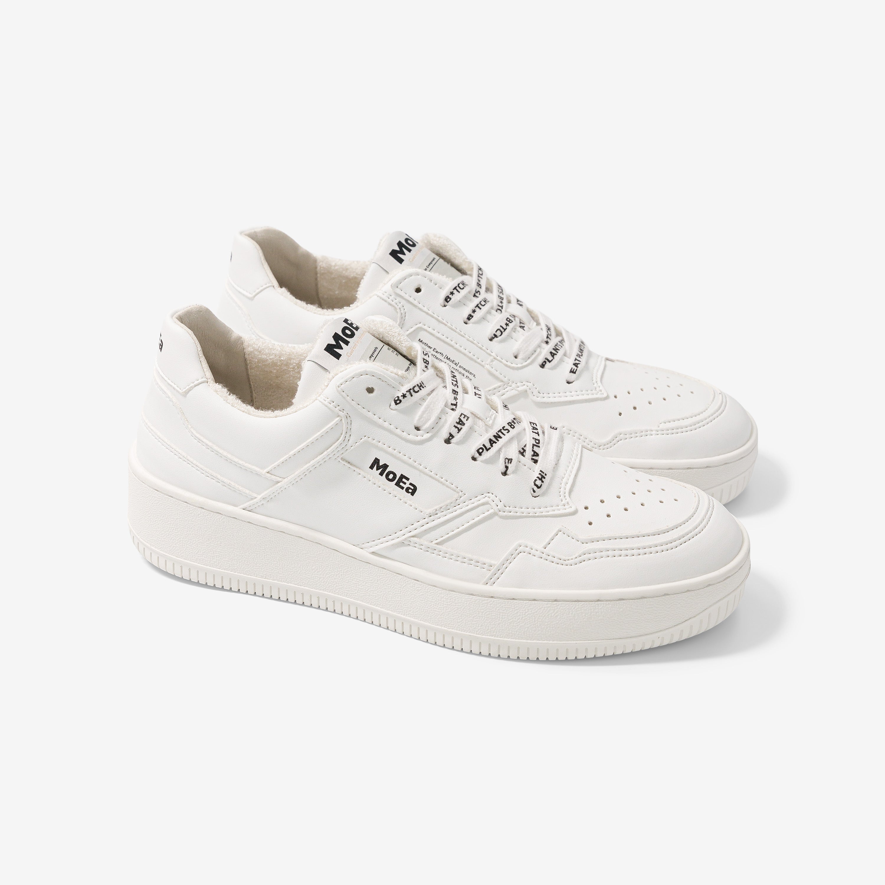moea-white-laces-eat-plants-schn-rsenkel image 2