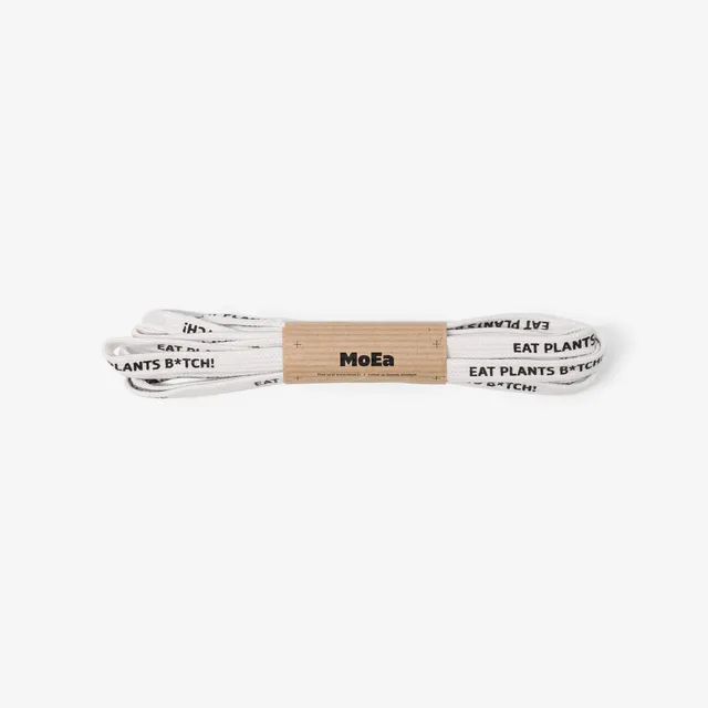 moea-white-laces-eat-plants-schn-rsenkel image 1