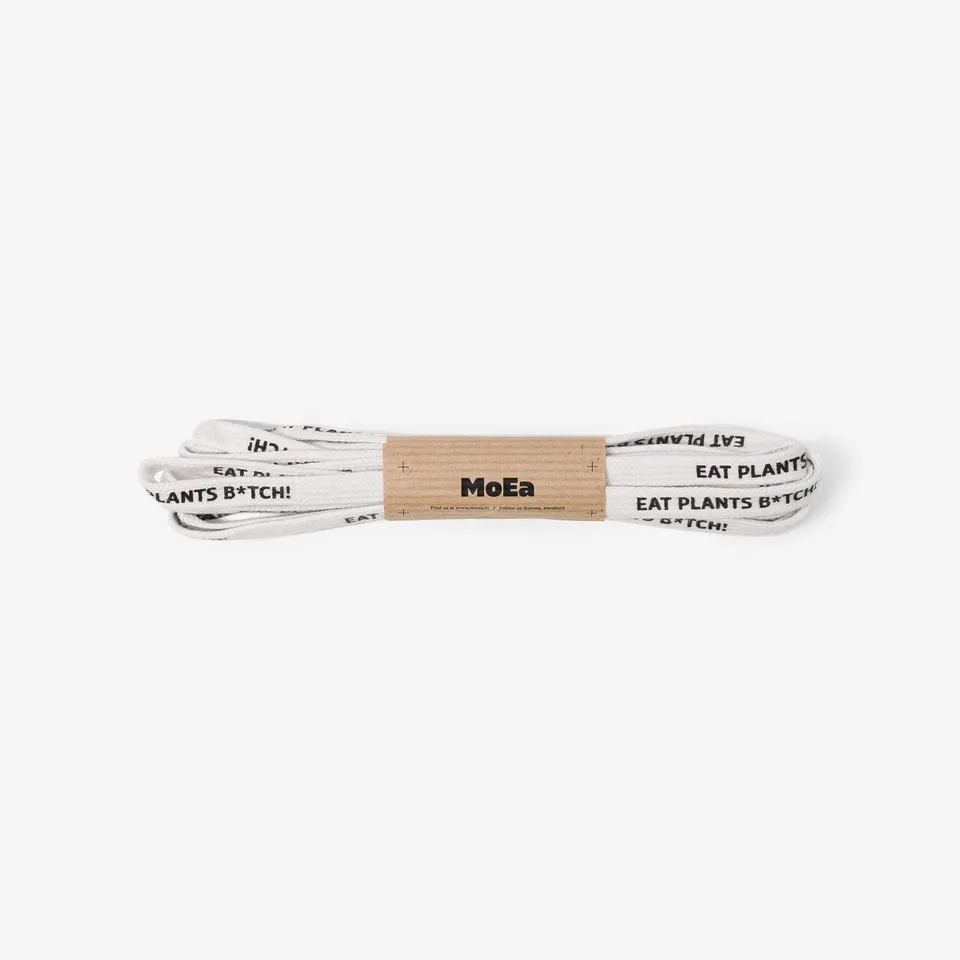 moea-white-laces-eat-plants-schn-rsenkel image 1