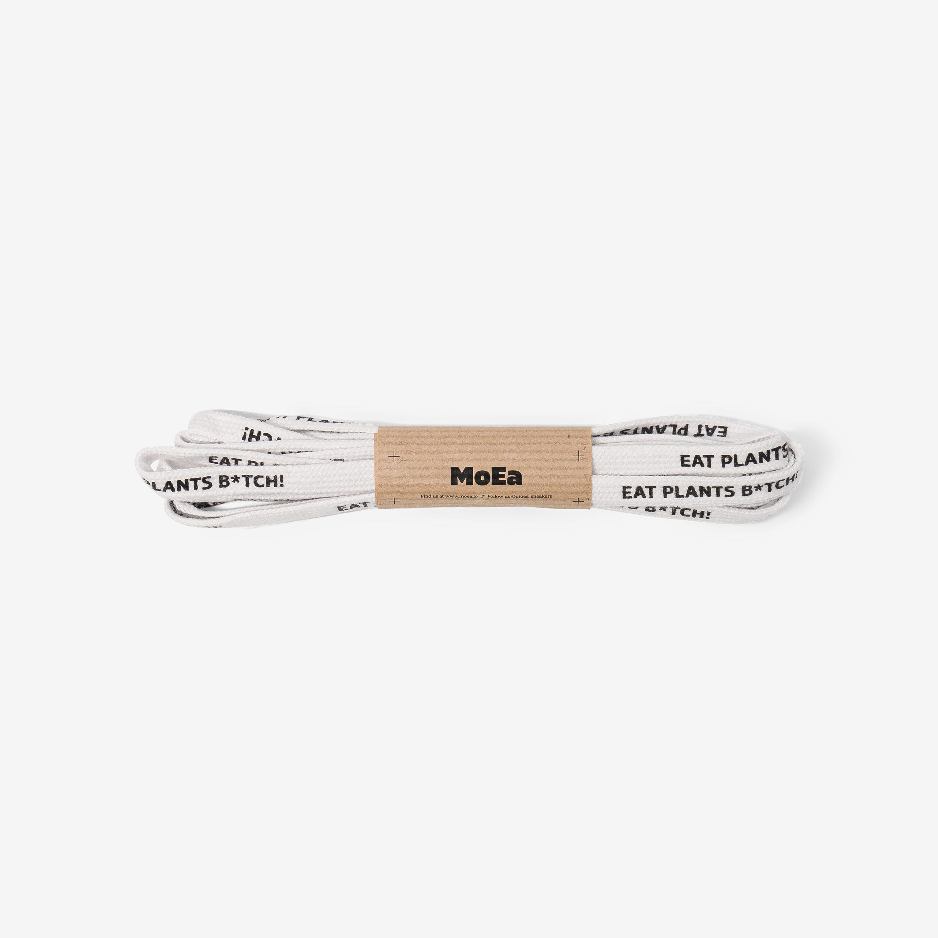 moea-white-laces-eat-plants-schn-rsenkel image 1