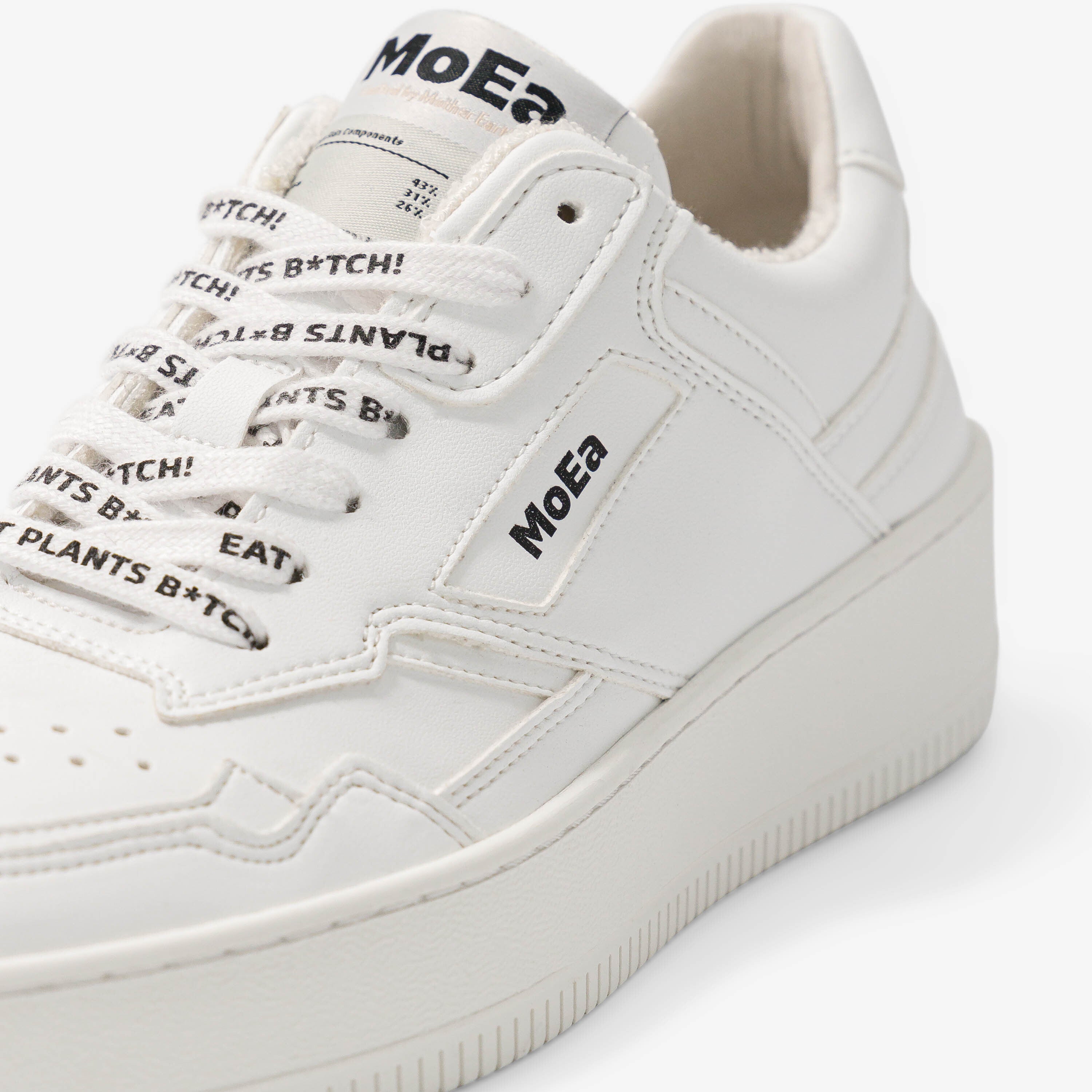 moea-white-laces-eat-plants-schn-rsenkel image 5
