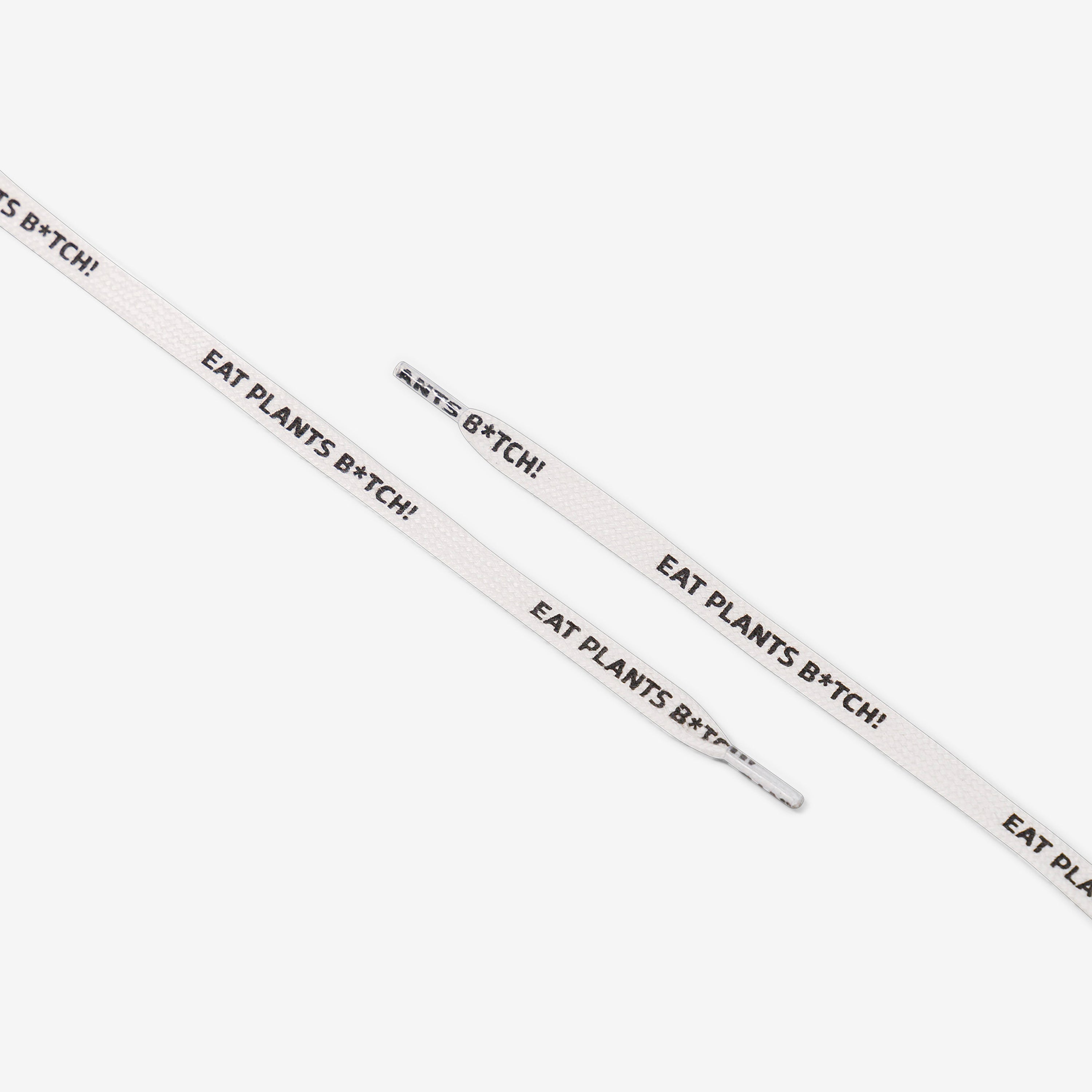 moea-white-laces-eat-plants-schn-rsenkel image 3